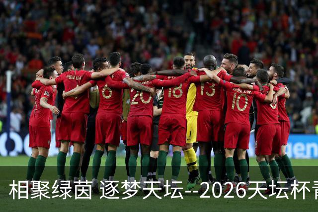 相聚绿茵 逐梦天坛--2026天坛杯青少年足球交流火热开启