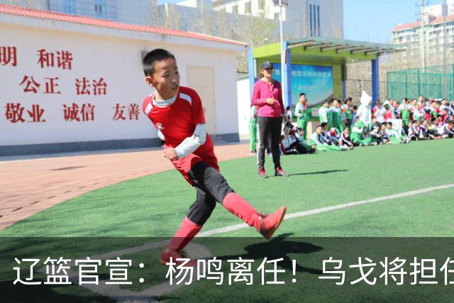 辽篮官宣：杨鸣离任！乌戈将担任辽宁男篮主帅